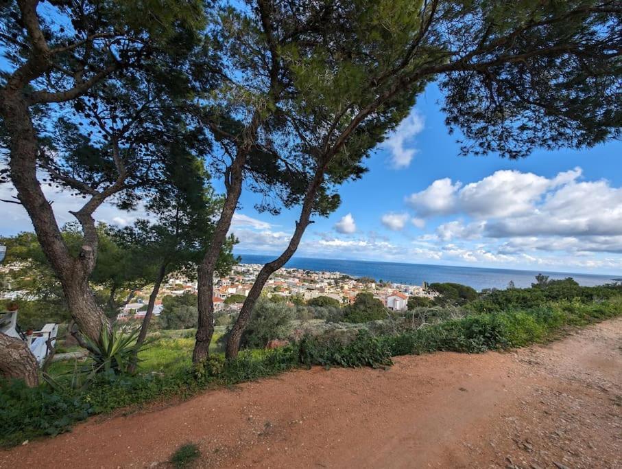Apartment Vasiliki Studio, Beautiful New Built 10 Km To Airport *